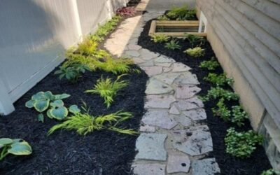 Add Pizzazz to a Small Backyard