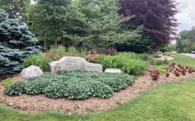 Get Inspired at the Grand Ideas Garden