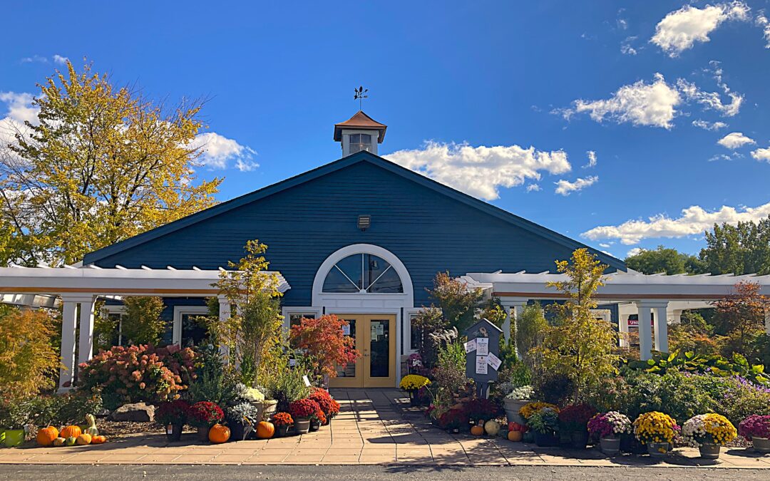 On Sale This Week at Knapp Valley Gardens