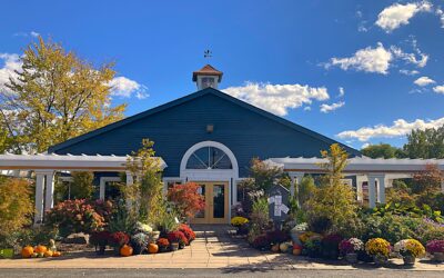 On Sale This Week at Knapp Valley Gardens